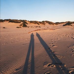 Meet your Posher, Flora